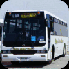 Bribie Island Coaches fleet images
